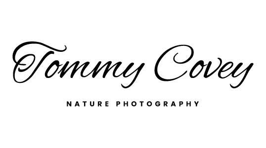 tommycovey logo